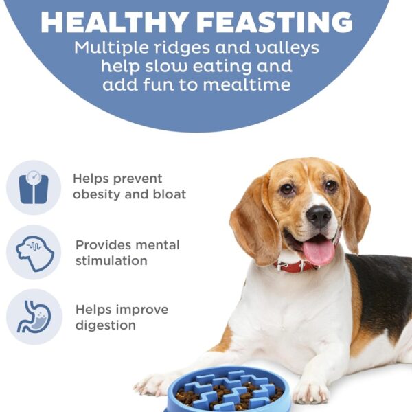 00faaa25-4e3b-42ef-9ec4-6c06073c7497.jpg Feeder Slo Bowl Medium 2Cup Capacity, Slow Feeding, Small To Medium Dogs Cats, Non Slip, Blue, Notch Pattern