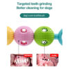 587634499 Pet Toys Dog Molar Stick Cat Chew Gum Candy Gourd Molar Teeth Cleaning TPR Toy Pet Supplies