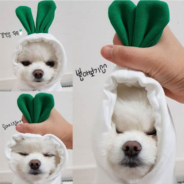 Small And Medium-Sized Dogs Fruit Sweatshirt Dogs And Cats Fall And Winter Sweatshirt Fleece Clothing Supplies Pet Teddy Pitcher