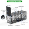 012862c8-b32e-4bbf-a39e-4b4395b3c3f5.jpg Live Animal Cage Trap For Animals Humane Galvanized Iron Trap Cage For Raccoons Armadillos Foxes Opossums Muskrats Beavers 26in 32in 40in Size Options