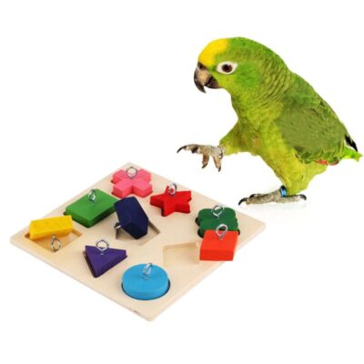 587814436 Pet Educational Toys Parrot Interactive Training Colorful Wooden Block Birds Puzzle Supplies DIY Toy Accessories