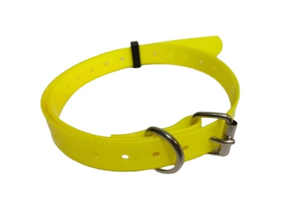 04df351a-64f5-4a03-92de-8881feae1cdc.jpg Pet Dog Collars Pet Training Dog Training Equipment