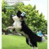 052bf73f-3adb-440d-a772-1712df9c44bd.jpg Pet Interactive Flywheel,Dog Toy,Fun Interactions Buildstronger Bonds