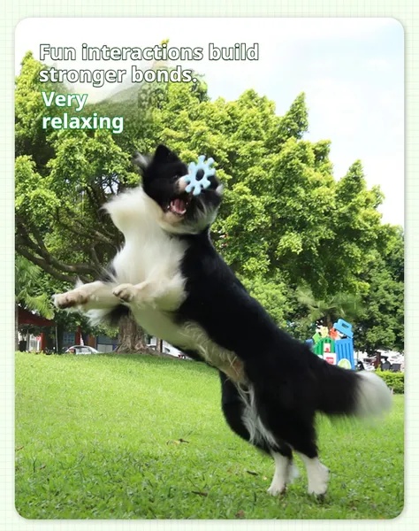052bf73f-3adb-440d-a772-1712df9c44bd.jpg Pet Interactive Flywheel,Dog Toy,Fun Interactions Buildstronger Bonds