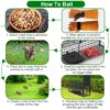 053e1794-1b00-43d0-854b-cbc9e2e3d9c7.jpg Live Animal Cage Trap For Animals Humane Galvanized Iron Trap Cage For Raccoons Armadillos Foxes Opossums Muskrats Beavers 26in 32in 40in Size Options