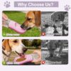 06d1f5b3-1211-46a4-9052-a6b32782f762.jpg Portable Dog Water Bottle With Food Container, Drinking Bottle For Travel 2 In 1 Dog Water Bowl, Leak Proof Pet Water Dispenser, BPA Free, Puppy Essentials, For Walking Hiking
