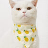 Pet Supplies Pet Saliva Towel Cartoon Pet Dog Collar Cat Triangle Towel Collar Pet Triangle Towel