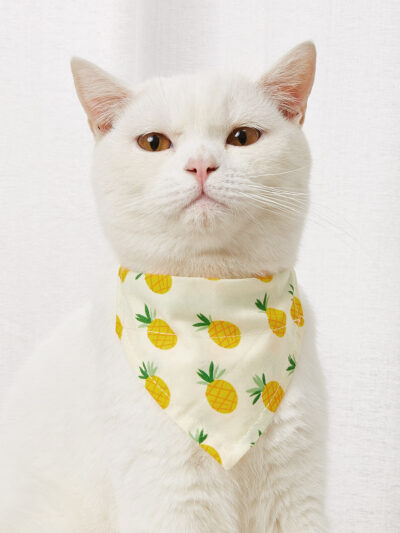 587620447 Pet Supplies Pet Saliva Towel Cartoon Pet Dog Collar Cat Triangle Towel Collar Pet Triangle Towel