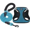 Breathable Puppy Cat Dog Vest Harnesses For Small Medium Dogs