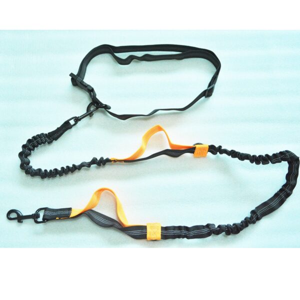 Dual Elastic Reflective Running Traction Rope Portable Retractable Dog Rope Dog Chain Traction Rope Pet Supplies