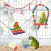 0b2f8c08-04c3-4a2e-83ce-14cc2661d1b2.jpg Bird Parakeet Toys Swing Hanging Standing Chewing Hammock Climbing Ladder Bird Cage Colorful Toys Suitable For Budgerigar