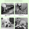 DOG Chew Toys For Teeth Cleaning,Pet Sausage Chew Brush,Pet Chew & Clean Buddy