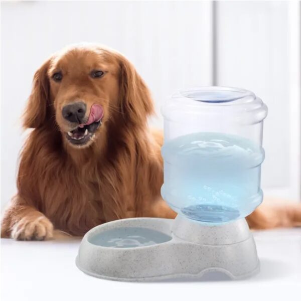 Automatic Gravity-Flow Pet Waterer