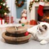 0e4b6729-f695-4d05-853b-d57ae274da49.jpg 1 Pack Kitty Kurlz Cat Scratcher Toy Interactive For Indoor Cats