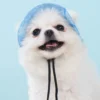 587813842 Fashion Dog Hat Adjustable Pet Bucket Hats with Ear Holes Summer Outdoor Round Brim Sun Hat for Samll Dogs Cats Pet Supplies