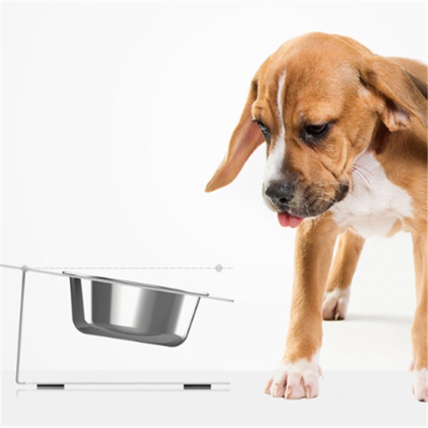 1112175356517.jpg Anti-falling Cat Dog Feeding Water Bowl
