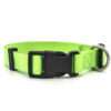 120824377481.jpg New Pet Collar