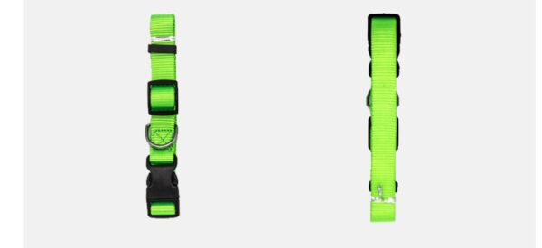 12344111485358.jpg New Pet Collar