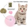 587635500 Smart Cat Toys Interactive Ball Catnip Cat Training Toy Pet Playing Ball Pet Squeaky Supplies Products Toy for Cats Kitten Kitty