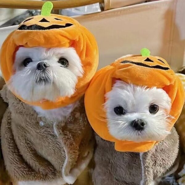 587639801 Pet Cat Dog Pumpkin Cat Hat Halloween Ghost Festival Decoration Headwear Supplies