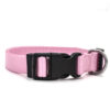 1450666173449.jpg New Pet Collar