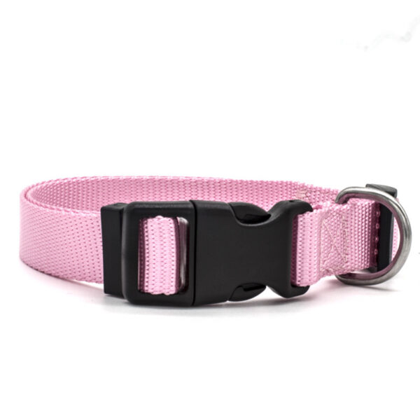 1450666173449.jpg New Pet Collar