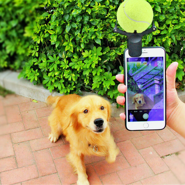 1618366008468.jpg Pet photo props toy pet photo selfie artifact funny dog camera phone clip tennis selfie clip
