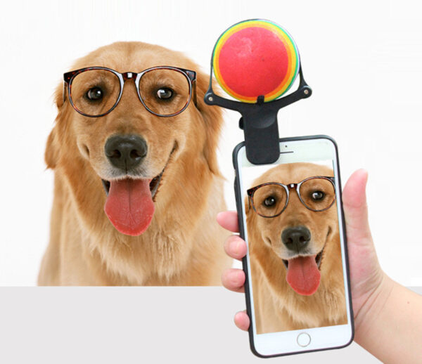 1618366008492.jpg Pet photo props toy pet photo selfie artifact funny dog camera phone clip tennis selfie clip