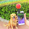 1618366008500.jpg Pet photo props toy pet photo selfie artifact funny dog camera phone clip tennis selfie clip
