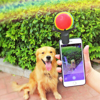 1618366008500.jpg Pet photo props toy pet photo selfie artifact funny dog camera phone clip tennis selfie clip
