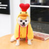 587690107 Chick Transformed Dog Cat Small Medium-Sized Dog Autumn And Winter Sweatshirt Scratch Pet Clothes Supplies Teddy Fighting Bichon