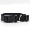 1718924536916.jpg New Pet Collar