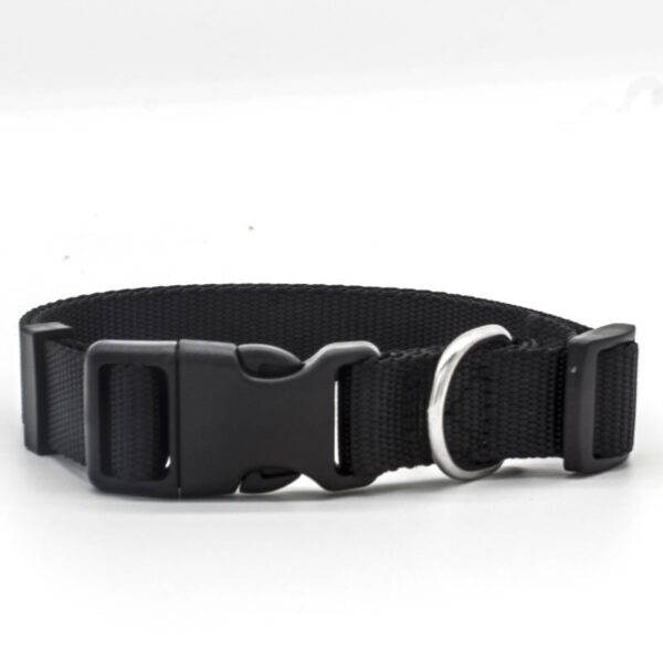 1718924536916.jpg New Pet Collar