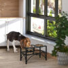 17ba5298-a909-4652-8334-382169030ba0.jpg Double Stainless Steel Heavy Duty Dog Food Bowl Elevated Pet Feeding Station