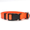 18899996785.jpg New Pet Collar