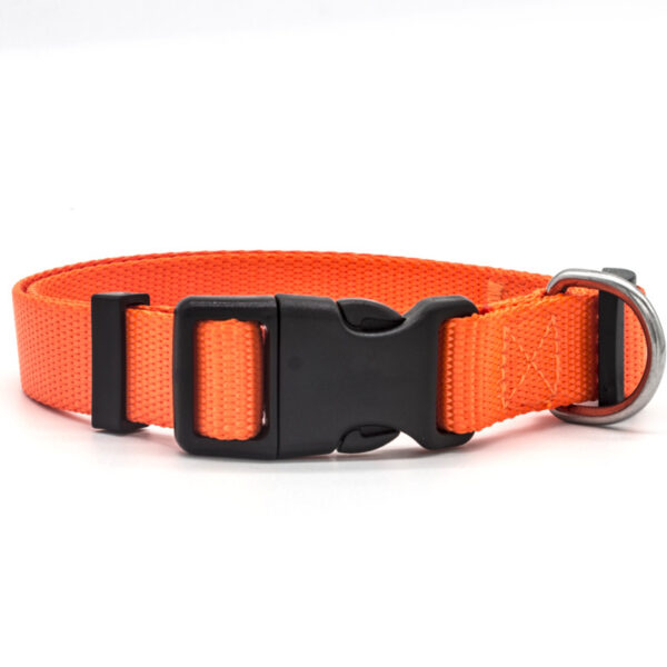18899996785.jpg New Pet Collar