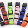 19693301359734.jpg New Pet Collar