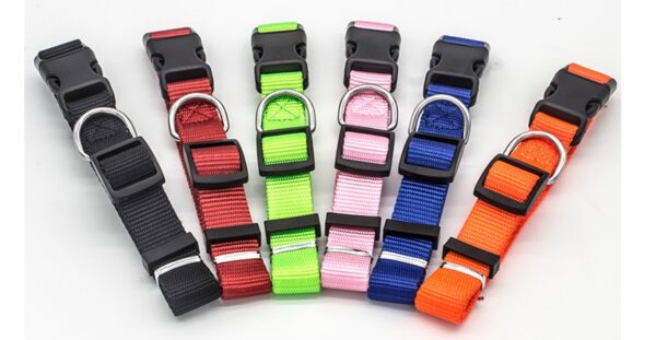 19693301359734.jpg New Pet Collar