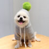 587690108 Chick Transformed Dog Cat Small Medium-Sized Dog Autumn And Winter Sweatshirt Scratch Pet Clothes Supplies Teddy Fighting Bichon
