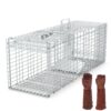 1a85881b-9bd4-4f9b-930f-4fc336046bc7.jpg 1Pc Humane Cat Trap Cage With Gloves Catch Release Live Animal Rodent Cage Collapsible Galvanized Wire For Raccoons Beavers Groundhogs Foxes Armadillos