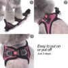 Breathable Puppy Cat Dog Vest Harnesses For Small Medium Dogs