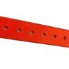 1d3d3ce4-35c8-450a-aa95-dbdcdd738d11.jpg Pet Dog Collars Pet Training Dog Training Equipment