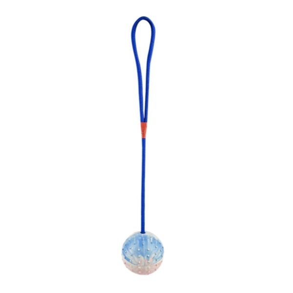 587690714 Pet Dogs Training Toy Natural Rubber Ball On Rope For Reward Fetch Play Interactive Funny Dog Toy Dog Training Supplies