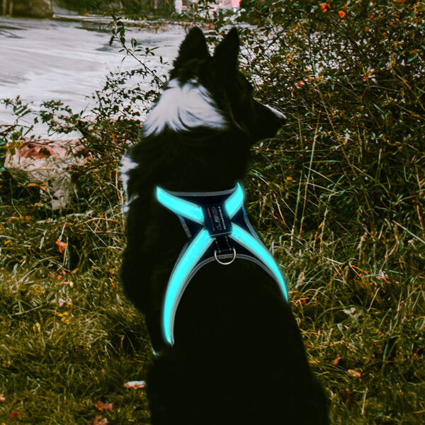 587637212 Pet supplies: explosion - proof, flushable, 8 - gear, color - changing LED, chest braces, clothes and collars with traction.