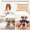 2308f987-8a8d-4049-9940-b6a06d364da2.jpg 2 Pack Dog Door Bells Dog Doorbell To Go Outside Puppy Train Bell For Dogs To Ring