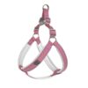 Pet Supplies Are Simple and Riot Proof. Dog Chest Straps with Golden Fur, Border Grazing Traction, and Thickened Webbing