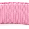 24579849539261.jpg New Pet Collar