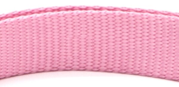 24579849539261.jpg New Pet Collar