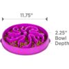 25b287b6-b0ff-4dd2-b0b8-31232a58c283.jpg Hound Feeder Slo Bowl Large 4 Cup Capacity, Slow Feeding, Medium To Large Dogs, Non Slip, Purple, Flower Pattern