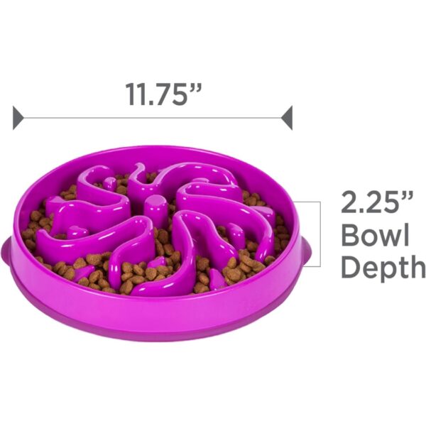 25b287b6-b0ff-4dd2-b0b8-31232a58c283.jpg Hound Feeder Slo Bowl Large 4 Cup Capacity, Slow Feeding, Medium To Large Dogs, Non Slip, Purple, Flower Pattern